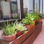Luisa Hotel Brenzone sul Garda