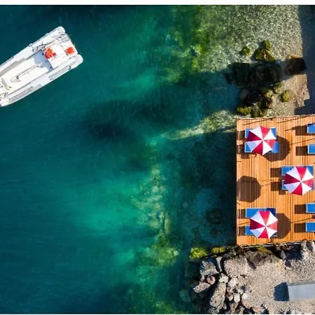 Luisa * 布雷佐内加尔达