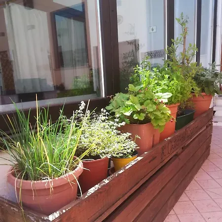 Luisa Hotel Brenzone