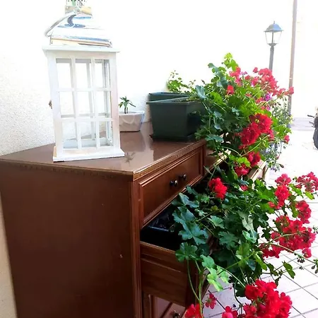 Hotel Luisa *