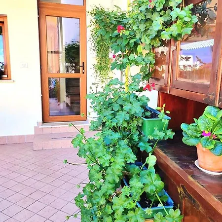 Szálloda Luisa Brenzone sul Garda
